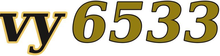 vy6533 logo